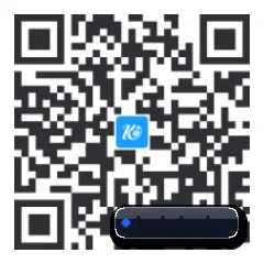 系统版 iOS 二维码